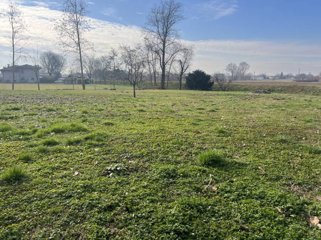 Rustico / casale a Curtarolo in Via Sant'Andrea - Foto 5