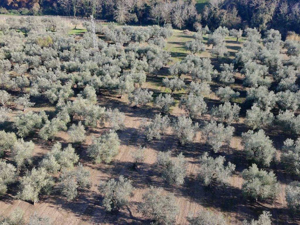 Terreno a Santa maria imbaro - Foto 2