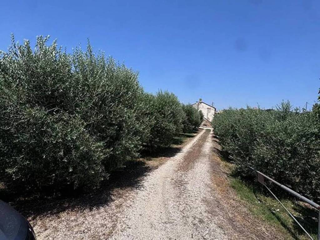 Terreno a Monteprandone in Contrada Fontevecchia, 20 - Foto 4
