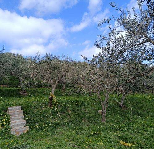 Terreno a Campofelice di roccella in Contrada Pistavecchia - Foto 3
