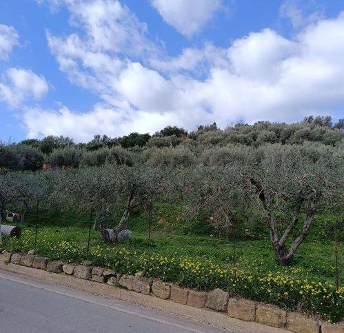 Terreno a Campofelice di roccella in Contrada Pistavecchia - Foto 4