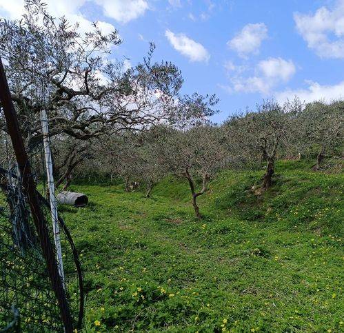 Terreno a Campofelice di roccella in Contrada Pistavecchia - Foto 5