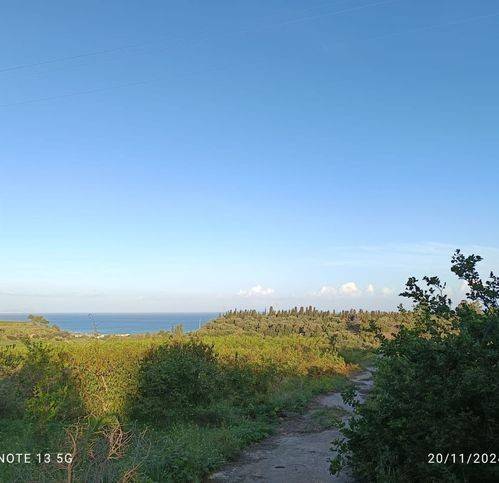 Terreno a Collesano in Strada Provinciale 129 1 - Foto 2