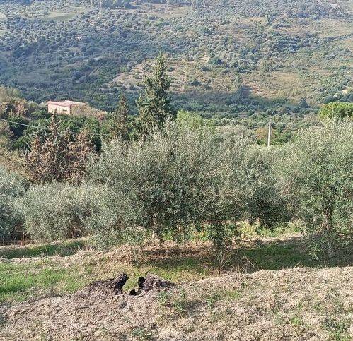 Terreno a Campofelice di roccella in Calzata - Foto 2