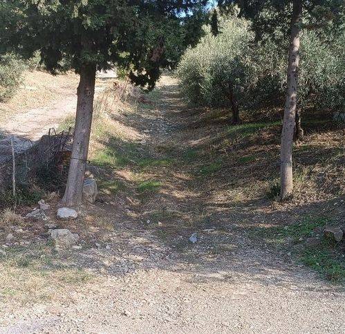 Terreno a Campofelice di roccella in Calzata - Foto 4