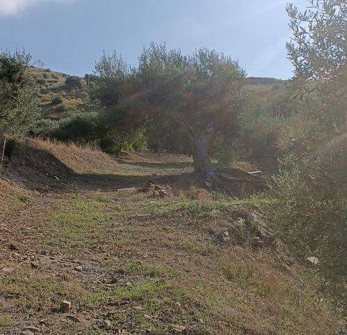 Terreno a Campofelice di roccella in Calzata - Foto 5