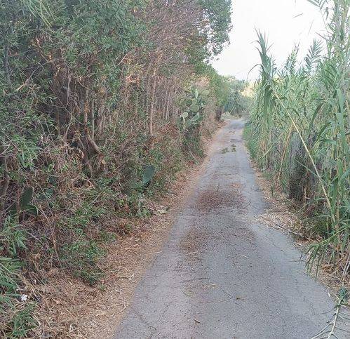 Terreno a Collesano in Bivio Sant 'Agata - Foto 2