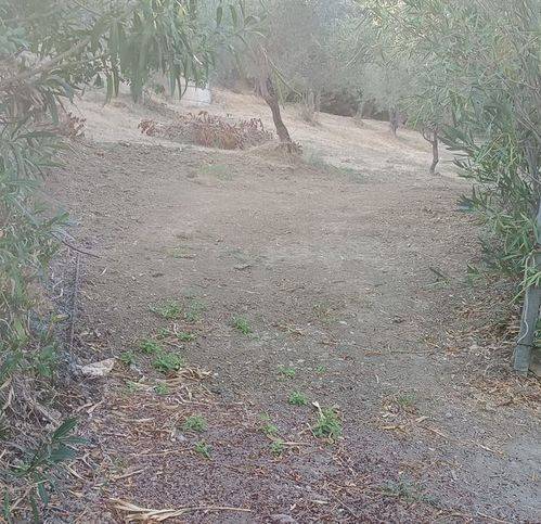 Terreno a Collesano in Bivio Sant 'Agata - Foto 5