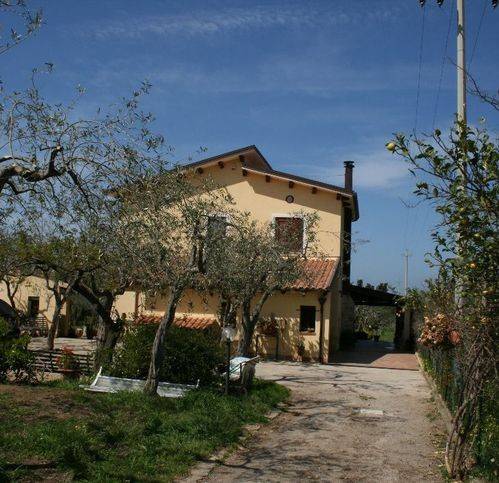 Villa a Campofelice di roccella in Via Dei Limoni 25 - Foto 5