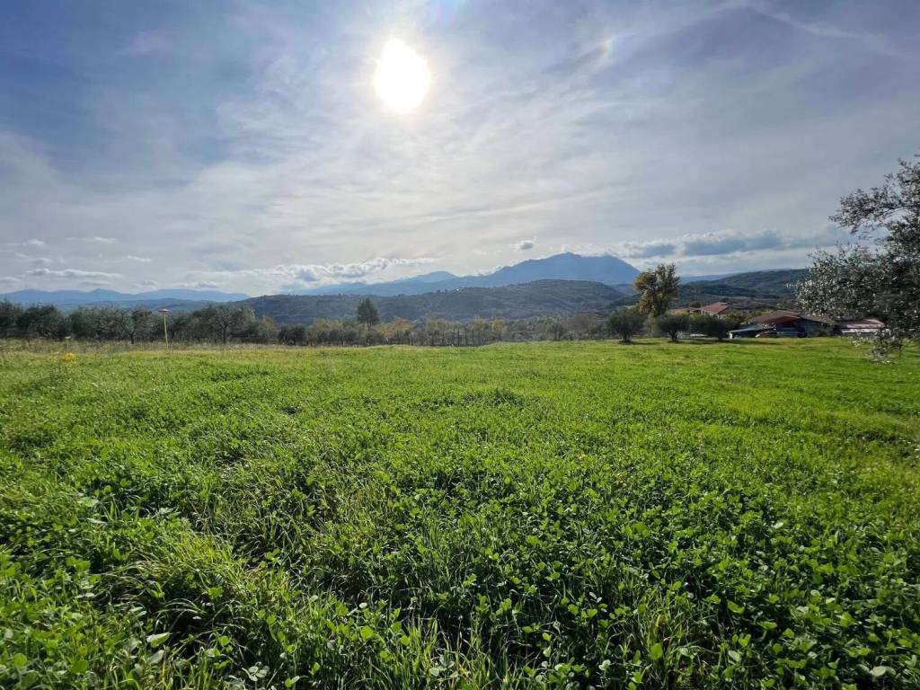 Terreno a Gesualdo in Contrada Castiglione - Foto 2