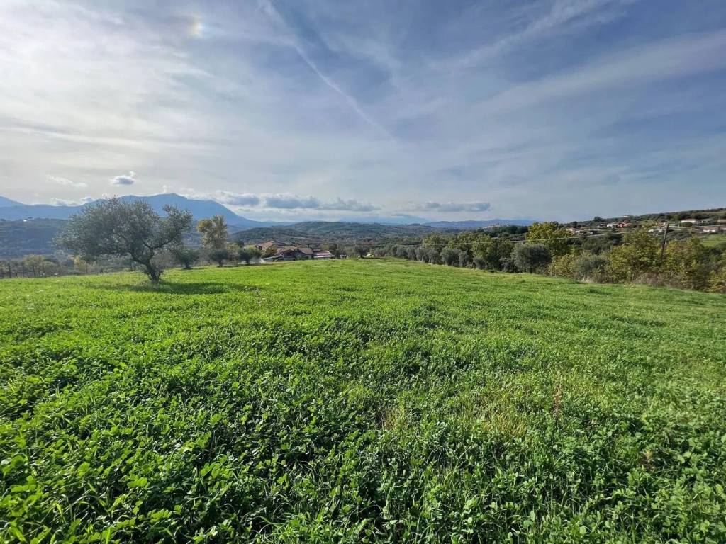 Terreno a Gesualdo in Contrada Castiglione - Foto 4