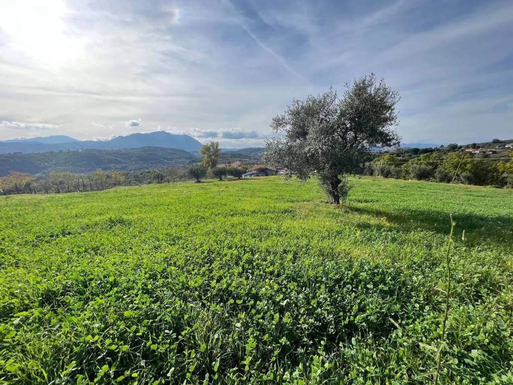 Terreno a Gesualdo in Contrada Castiglione - Foto 5