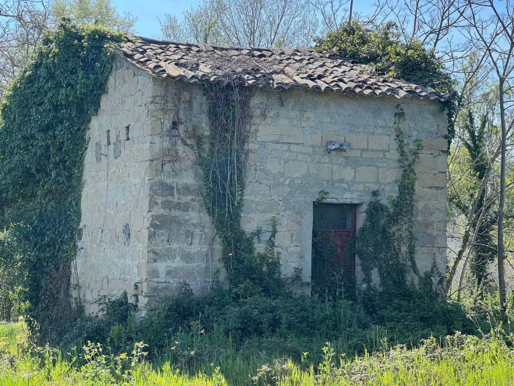 Rustico / casale a Mirabella eclano in Contrada Madonna Delle Grazie, 10 - Foto 2