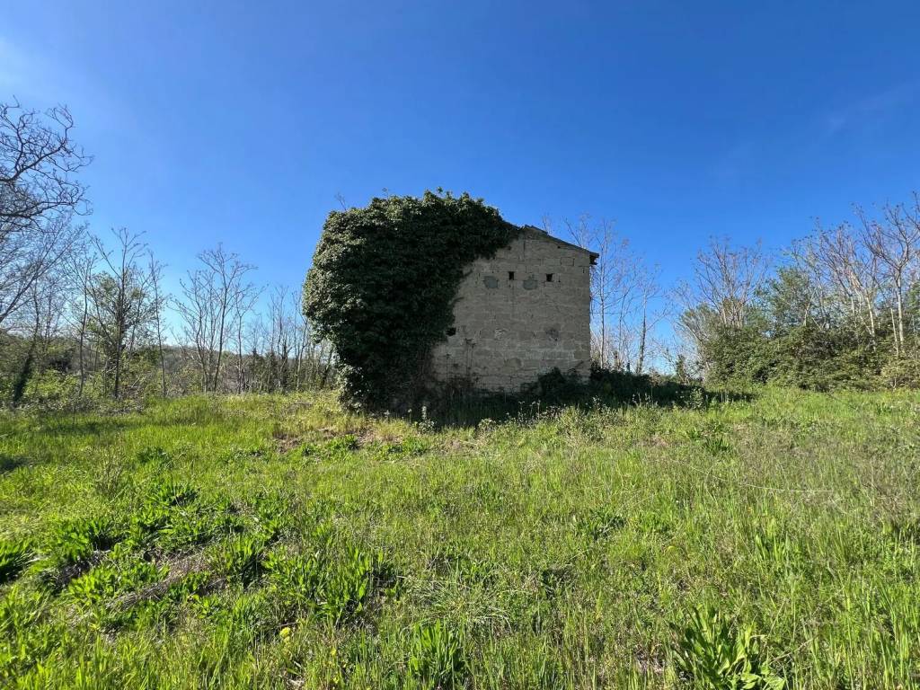 Rustico / casale a Mirabella eclano in Contrada Madonna Delle Grazie, 10 - Foto 3