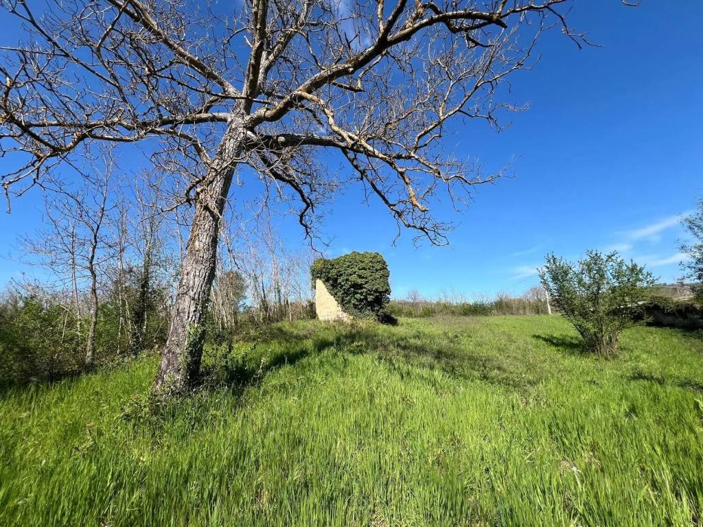 Rustico / casale a Mirabella eclano in Contrada Madonna Delle Grazie, 10 - Foto 4
