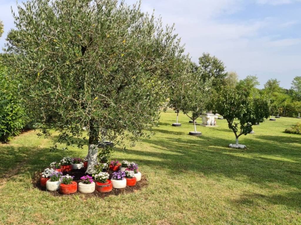 Terreno a Monteviale in Via Brunori - Foto 2