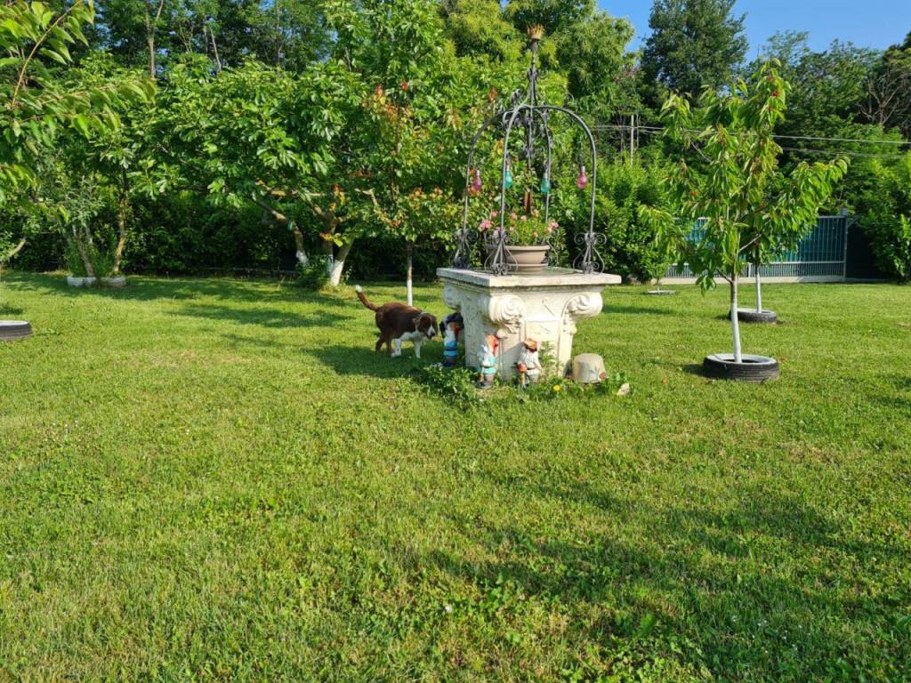 Terreno a Monteviale in Via Brunori - Foto 3