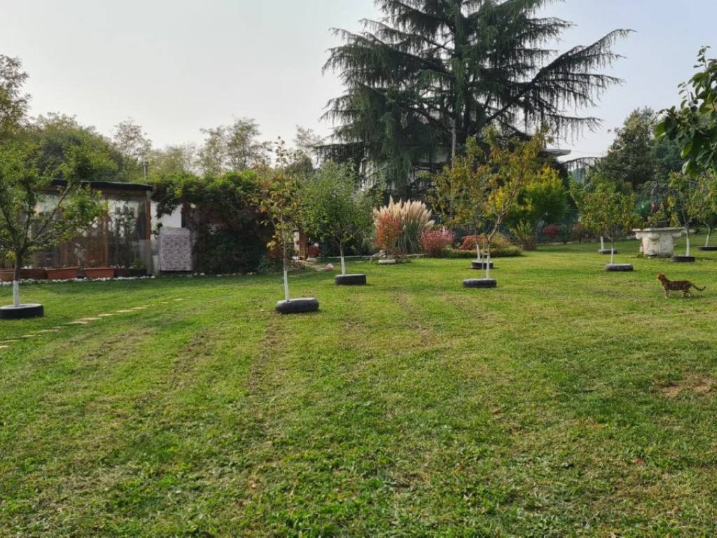 Terreno a Monteviale in Via Brunori - Foto 4
