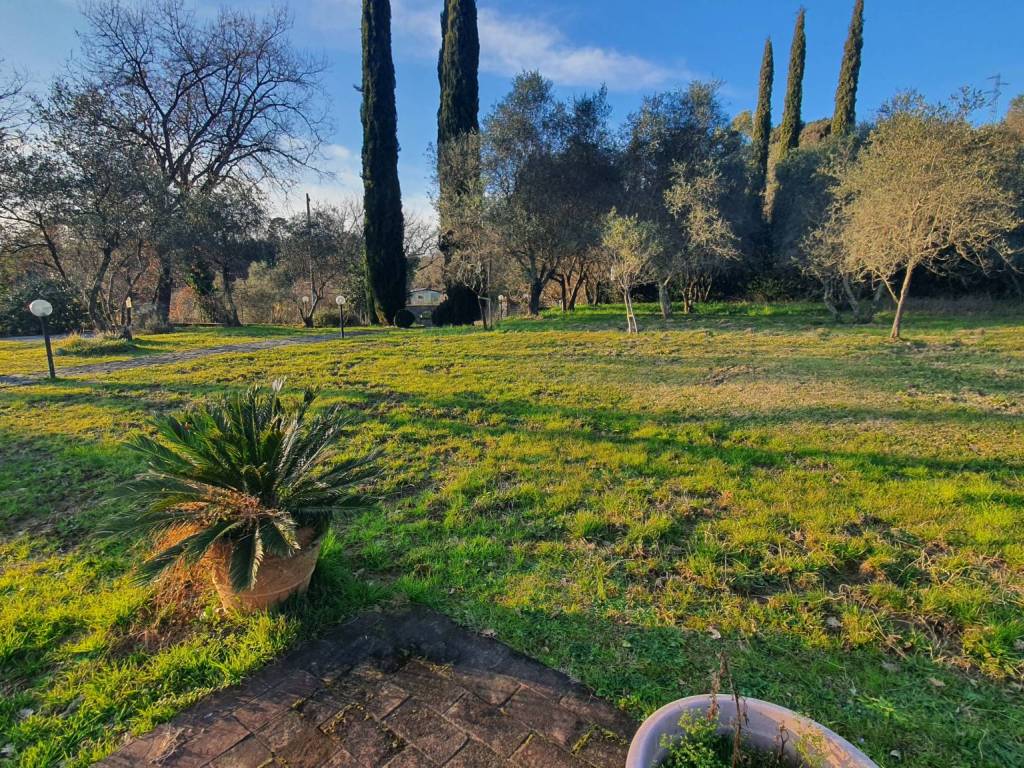 Rustico / casale a Sarzana - Foto 4