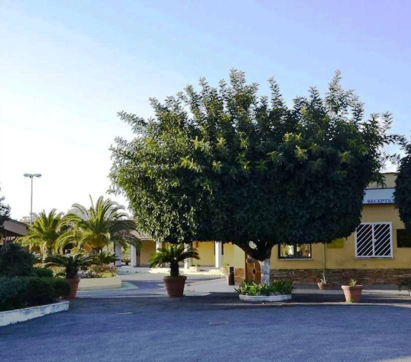 Appartamento a Fiumicino in Via Ferdinando Neri, 48 - Foto 2