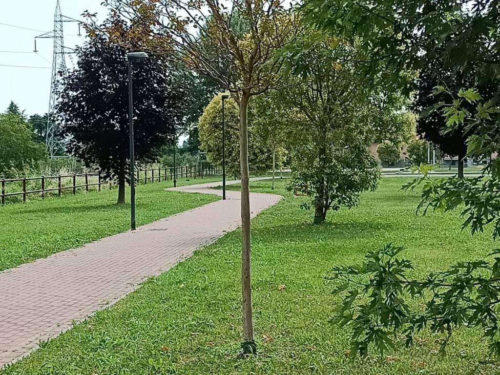 Terreno a Verona - Foto 3