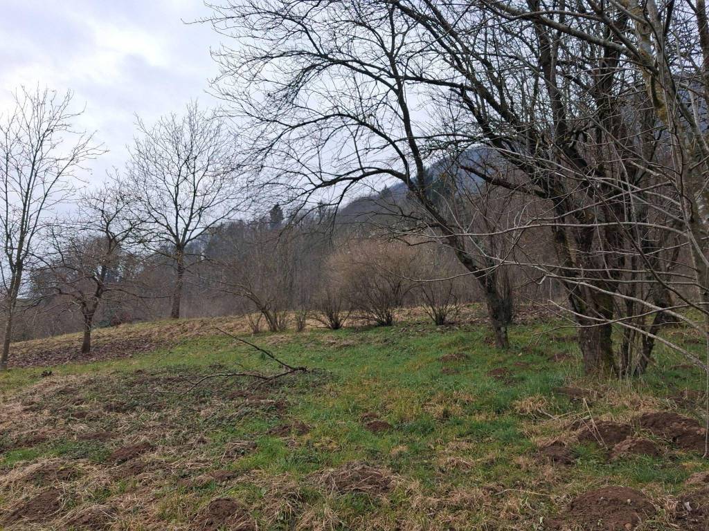 Terreno a San giovanni bianco in Via Fuipiano Centro - Foto 3