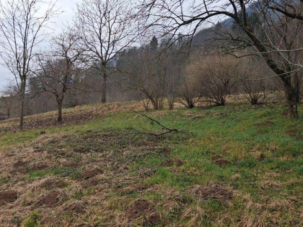 Terreno a San giovanni bianco in Via Fuipiano Centro - Foto 4