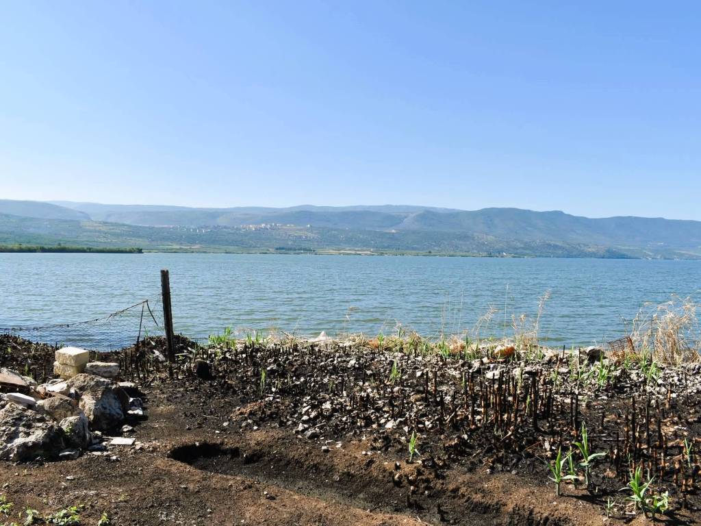 Terreno a Carpino in Contrada Orti Paludi - Foto 4