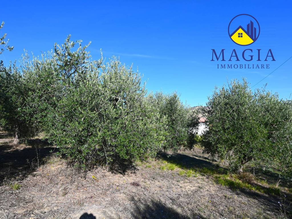 Casa indipendente a Cossignano in contrada Grazie - Foto 4