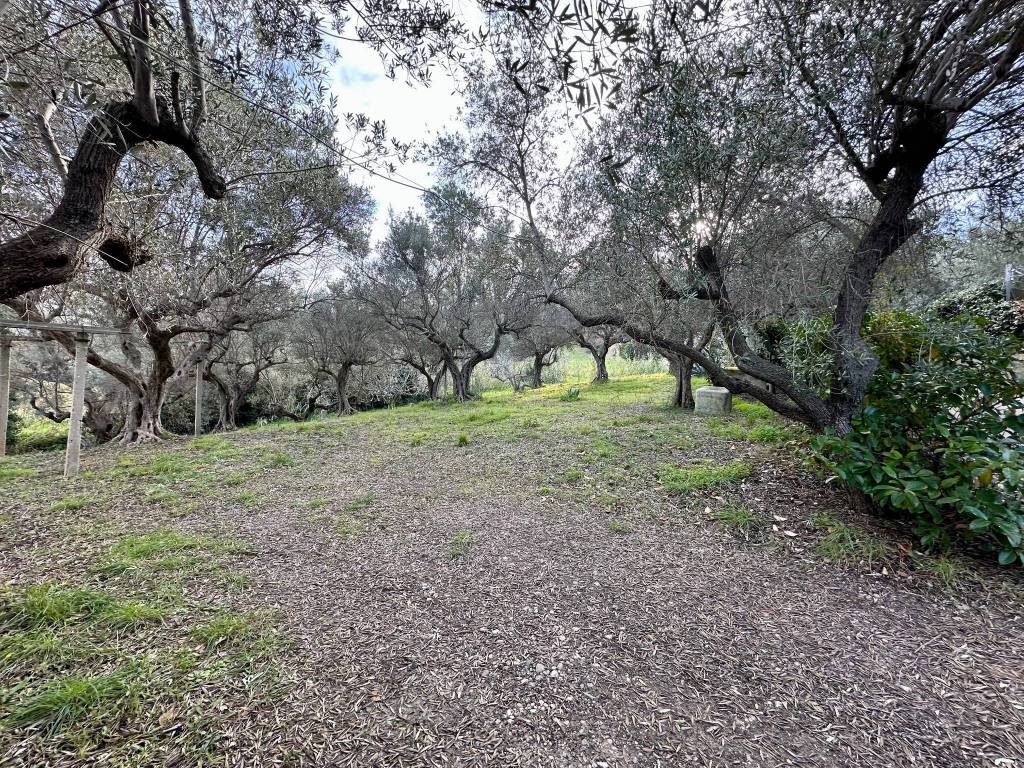 Terreno a Pescara in Via Strada Fonte Borea - Foto 2