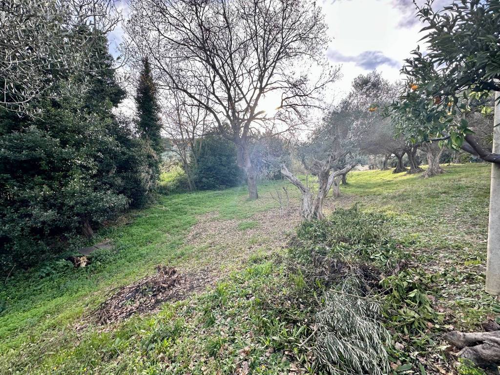 Terreno a Pescara in Via Strada Fonte Borea - Foto 5