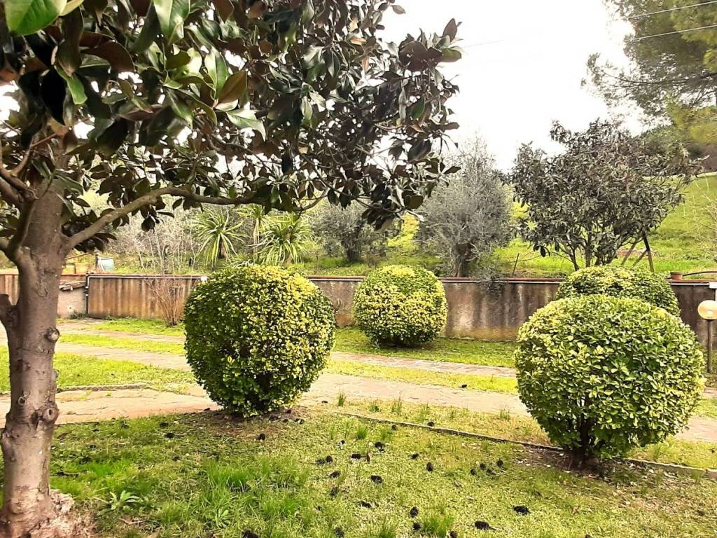 Villa a Castellina marittima - Foto 5