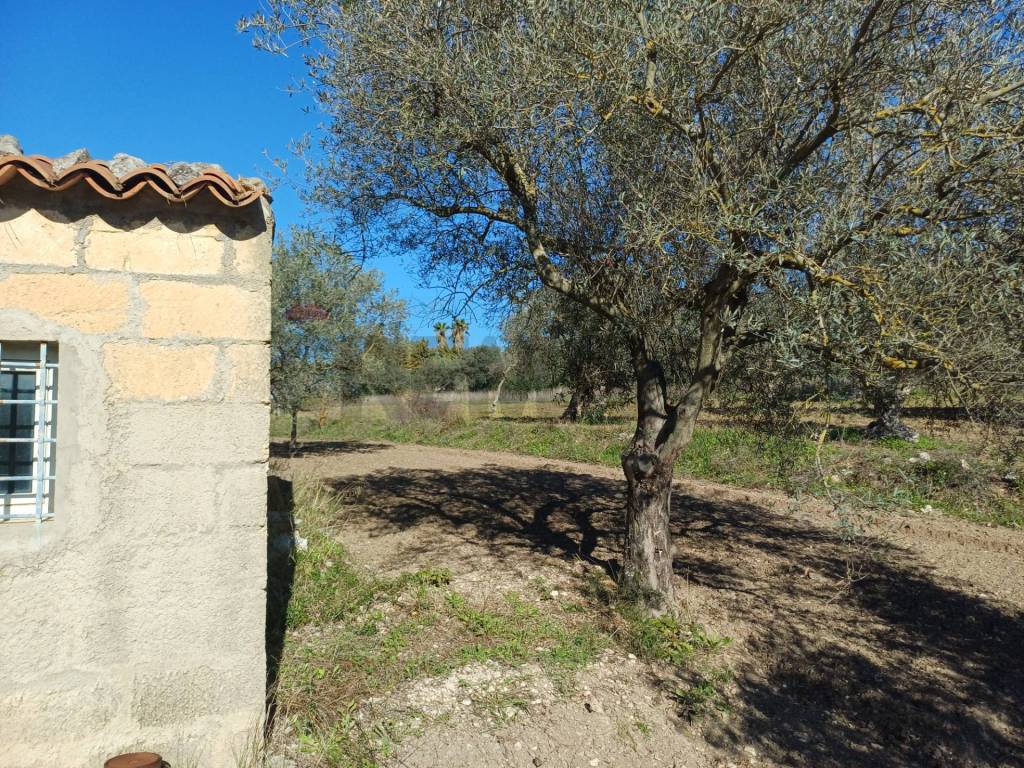 Rustico / casale a Chiaramonte gulfi in C/da Pipitone - Foto 4