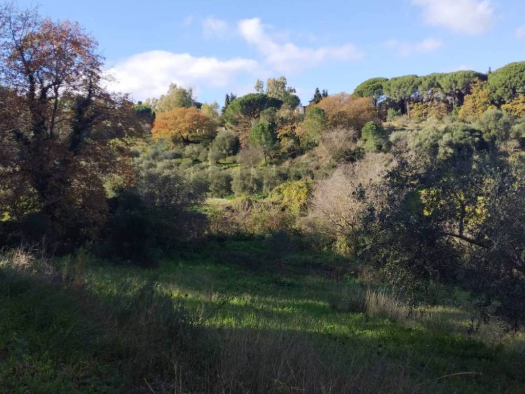 Terreno a Piazza armerina in Contrada Polleri - Foto 3