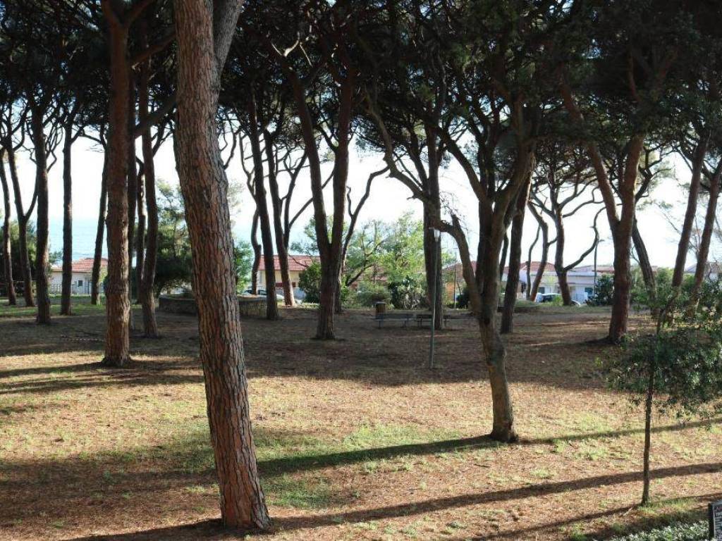 Appartamento a Follonica - Foto 2