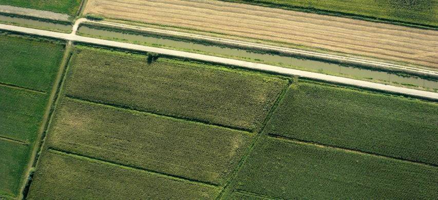 Terreno a Follonica - Foto 3