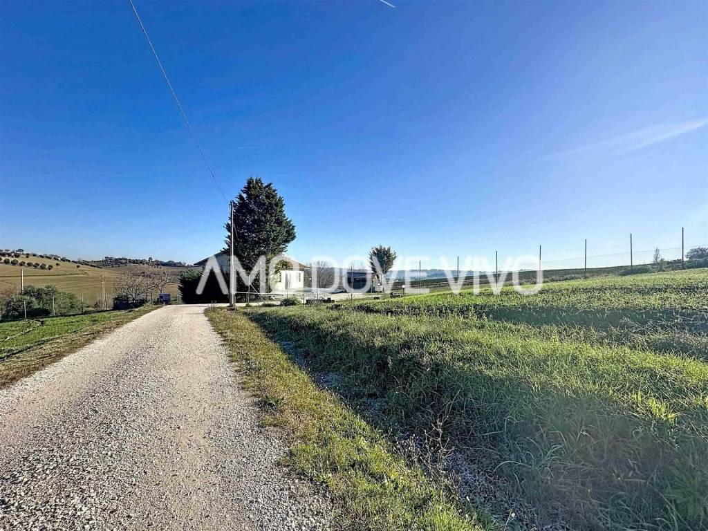 Casa indipendente a Ostra - Foto 5