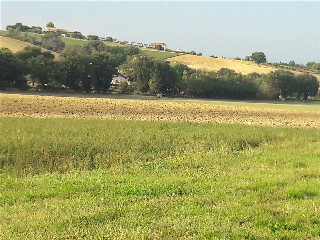 Terreno a Ostra vetere - Foto 2