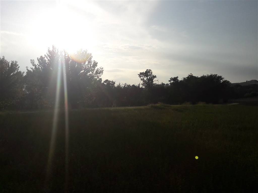 Terreno a Ostra vetere - Foto 5