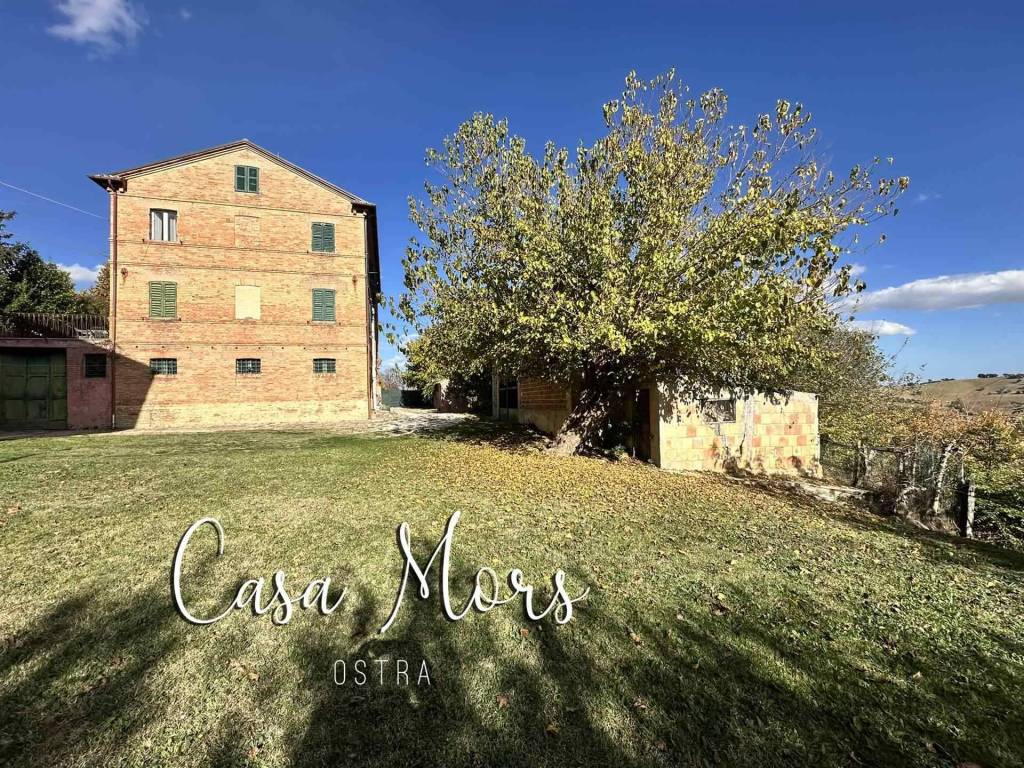 Casa indipendente a Ostra - Foto 3