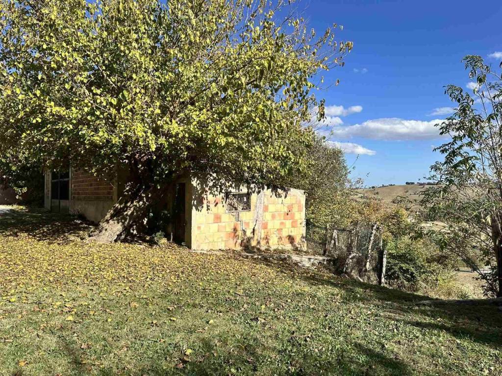 Casa indipendente a Ostra - Foto 4