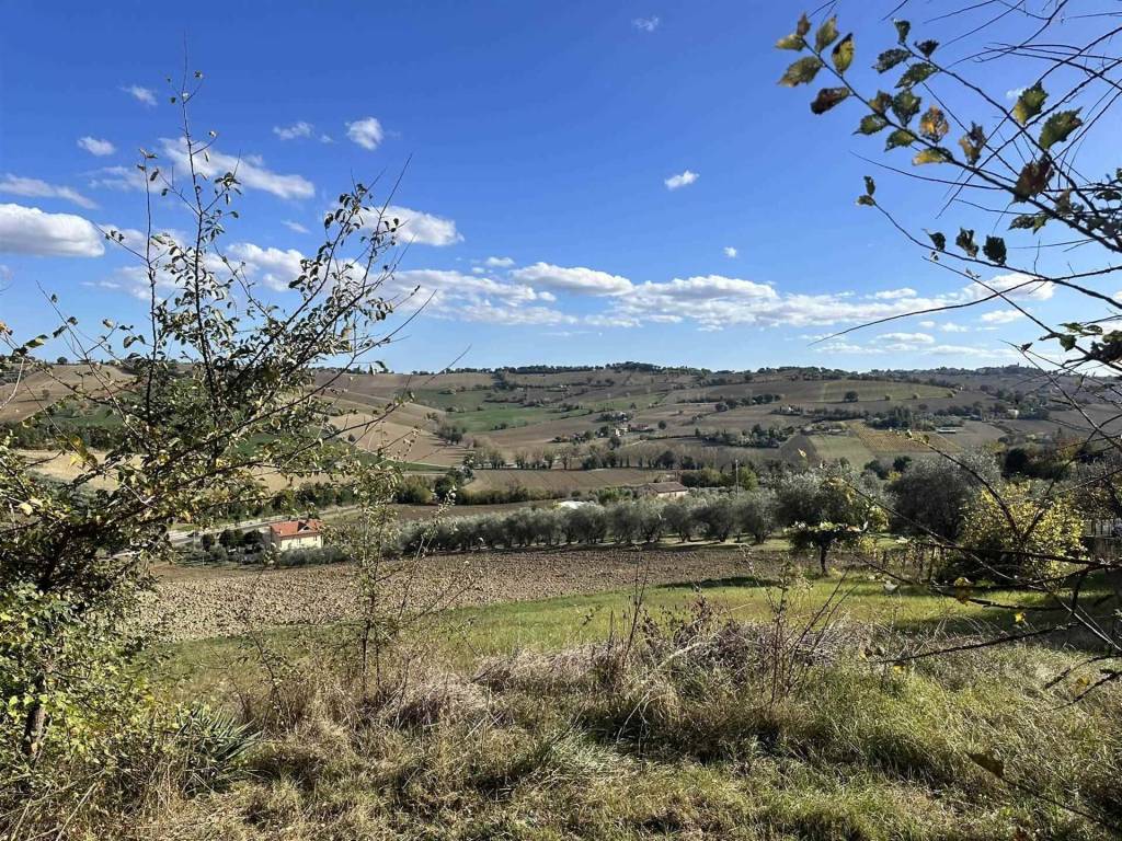 Casa indipendente a Ostra - Foto 5