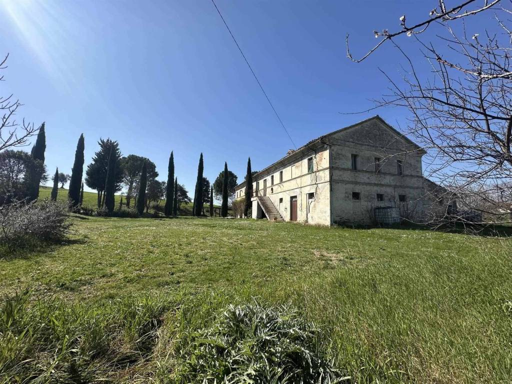 Rustico / casale a Ostra - Foto 3