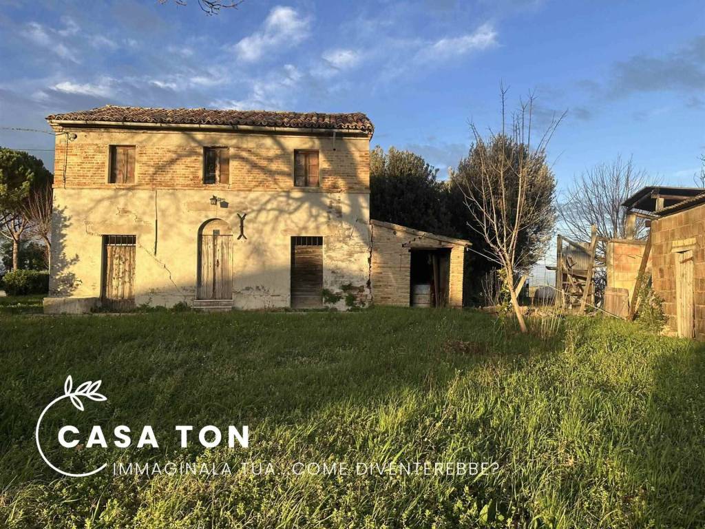 Rustico / casale a Ostra - Foto 3