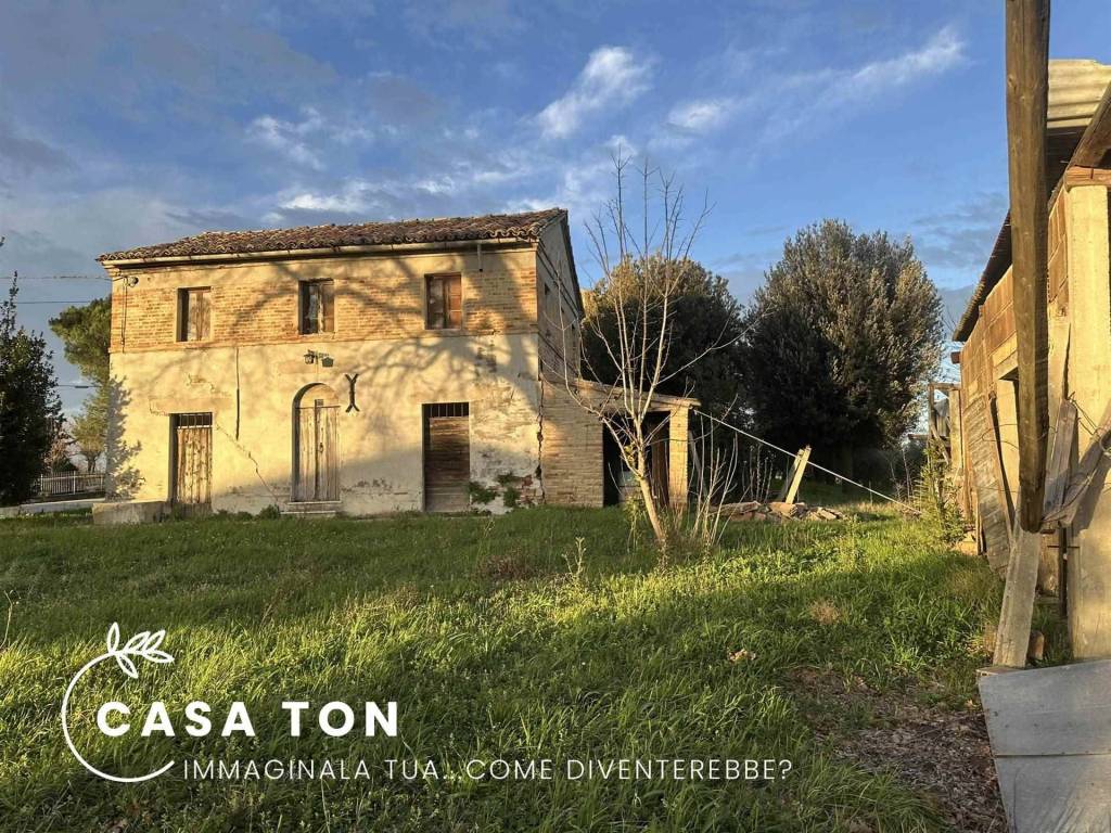 Rustico / casale a Ostra - Foto 4