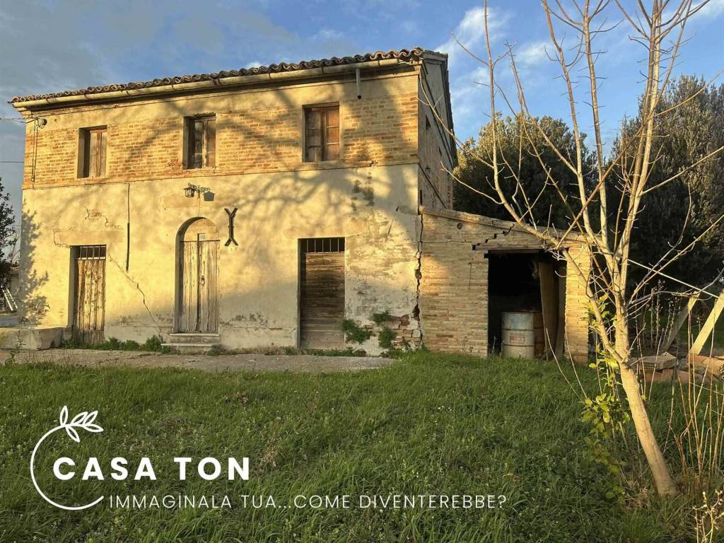 Rustico / casale a Ostra - Foto 5