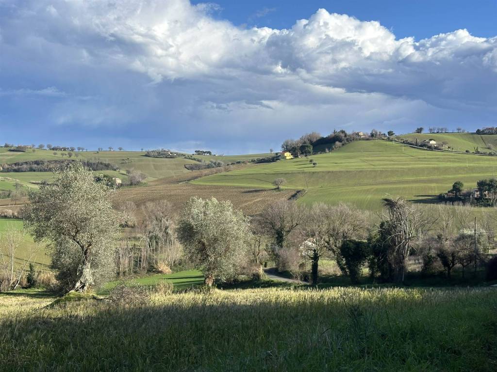 Terreno a Ostra - Foto 2