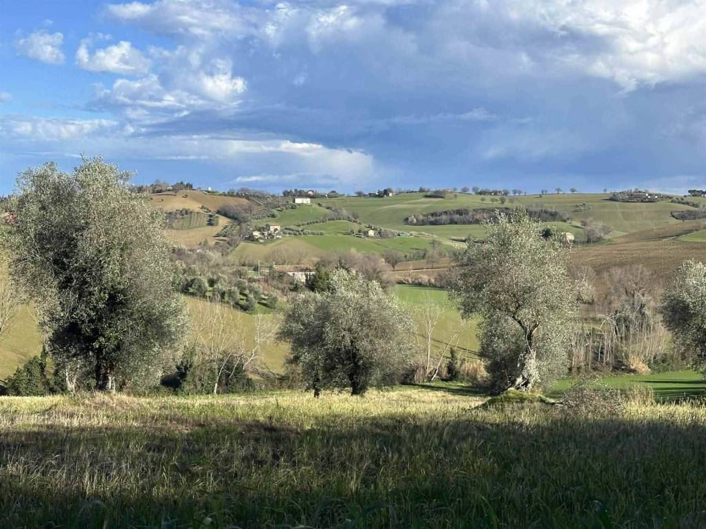 Terreno a Ostra - Foto 3