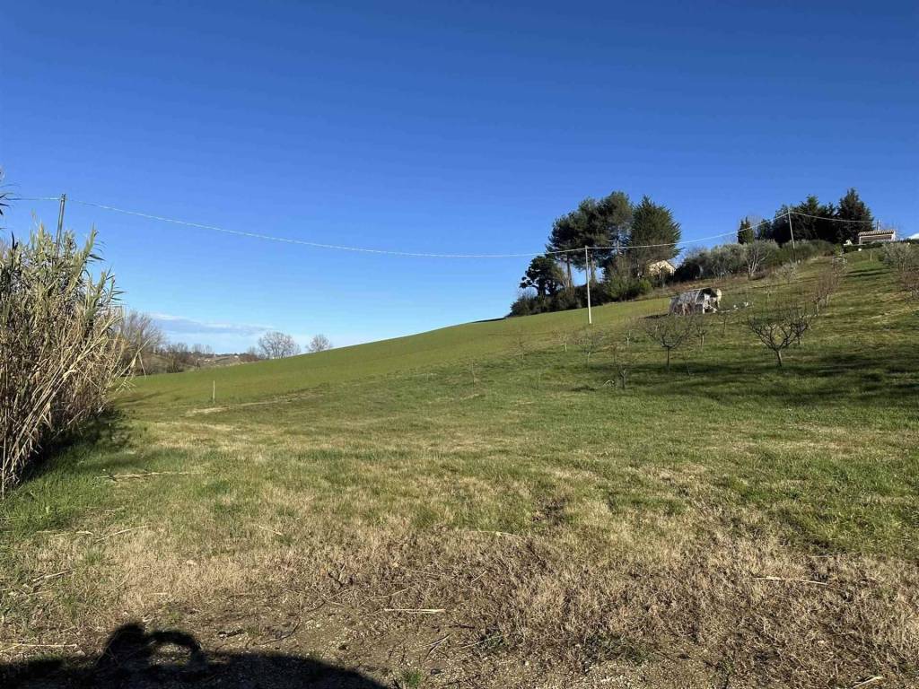 Terreno a Ostra - Foto 4