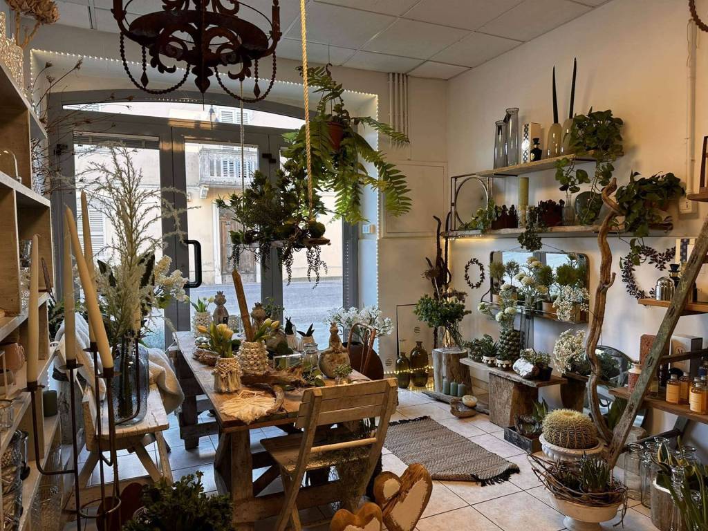 Immobile a Ostra in Viale Matteotti - Foto 4